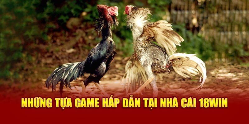 Đá gà cựa sắt luôn được ưa chuộng tại đá gà 18win