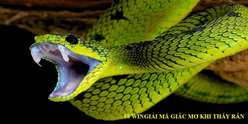Đánh gì khi nhìn thấy rắn trong khi mơ ngủ