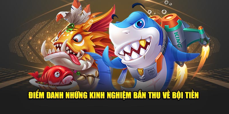 Điểm danh những kinh nghiệm bắn thu về bội tiền