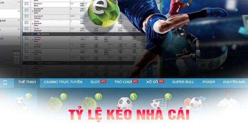Tỷ Lệ Cá Cược Bóng Đá - Kinh Nghiệm Cược Kèo Chuẩn Xác