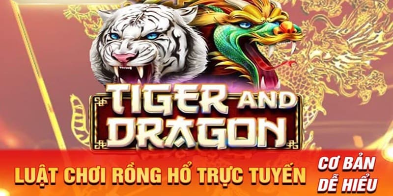 Nguyên tắc cơ bản của Dragon Tiger dành cho newbies