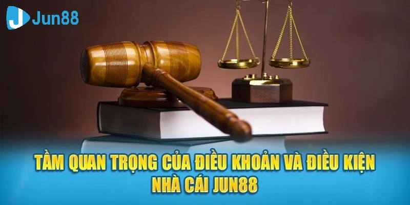 Khi tham gia tại JUN88, bạn cần tuân thủ theo các điều khoản quy định